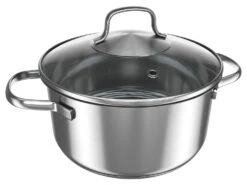 ERNESTO® Topf EDS 20 Cm