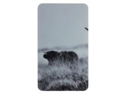 Wenko Herdabdeckplatte »Universal«, 2-teilig, Für Alle Herdarten, Aus Gehärtetem Glas -Kuchenwelt Verkauf e2fab97199d510f139974647e747dd56