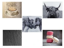 Wenko Glasrückwand, 50 X 60 Cm