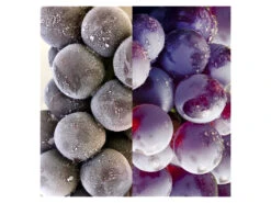 Emerio Side-by-Side Kühlschrank »SBS-126027.1« -Kuchenwelt Verkauf gcp7371cbf9810d4f659b404590935fb268