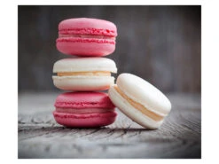 Wenko Glasrückwand, 50 X 60 Cm 14 Wenko Glasrückwand, 50 X 60 Cm -Kuchenwelt Verkauf gcp9aad9715edc041e5b4c636d30fce7c79