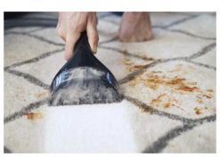 Bissell Teppichreiniger »SpotClean Professional«, Tragbar -Kuchenwelt Verkauf gcpcad7361cf75e4fefad0e196920b0aa54