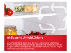 Amica Kühlgefrierkombination »KGCN 388 070 E« -Kuchenwelt Verkauf gcpdb5f1bcf84234fbda01c69633e15c928