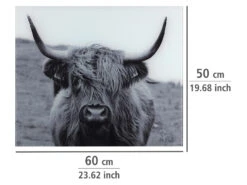 Wenko Glasrückwand, 50 X 60 Cm 13 Wenko Glasrückwand, 50 X 60 Cm -Kuchenwelt Verkauf gcpdf3a17870730470e8016fd1bb6dca10c